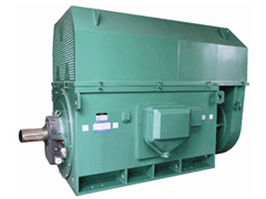 Y6301-2YKK系列高压电机